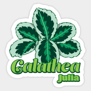 Calathea Julia Sticker